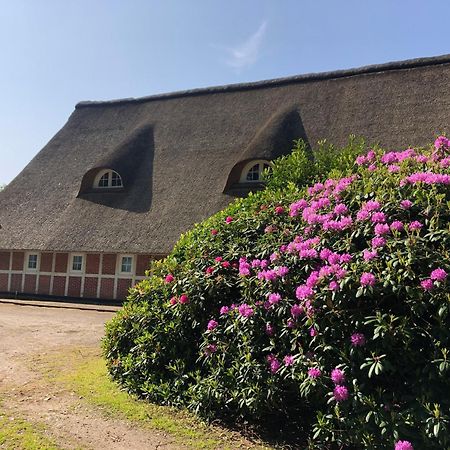 Ferienwohnungen Unter Den Eichen Stade Zewnętrze zdjęcie